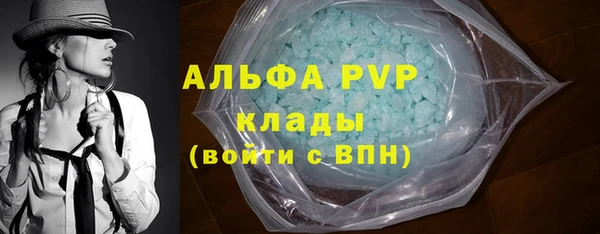 шишки Абинск