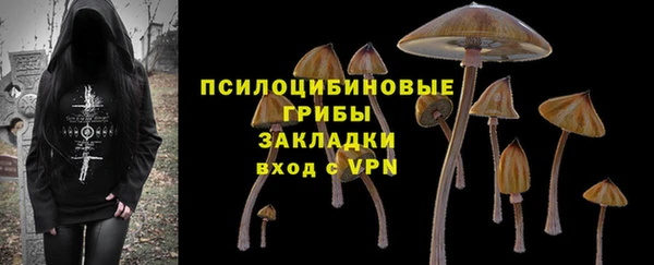 шишки Абинск
