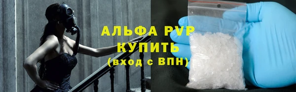 PSILOCYBIN Ростов