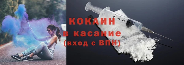 шишки Абинск