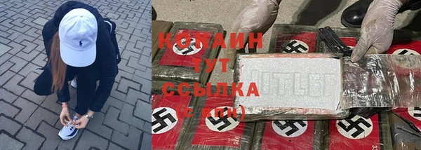 шишки Абинск