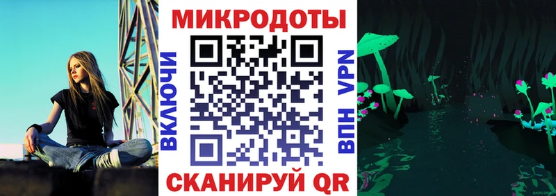 Галлюциногенные грибы Psilocybe  купить   Минусинск 