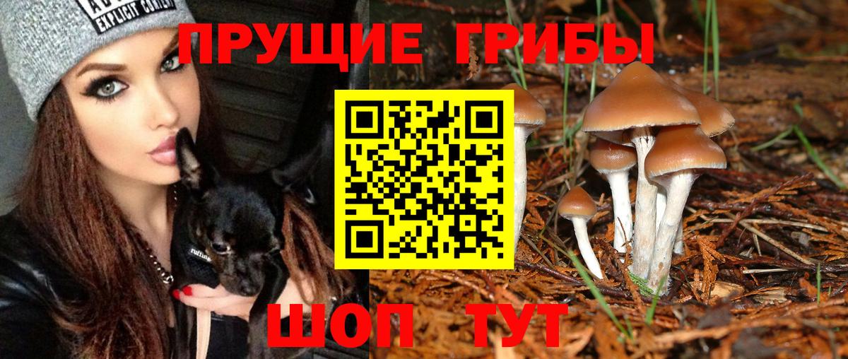Псилоцибиновые грибы Magic Shrooms Минусинск